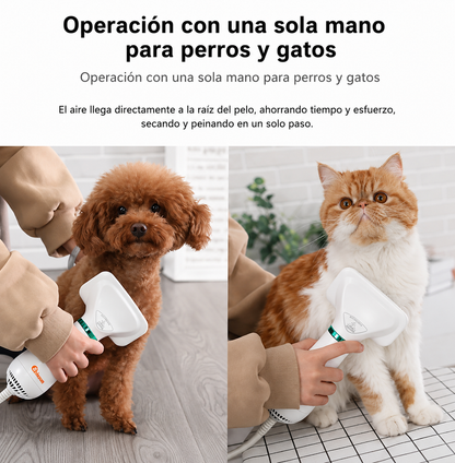sepillo secador para tus mascotas